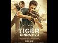 Tiger Zinda Hai