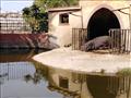 حديقة حيوان الإسكندرية أغلقت أبوابها في شم النسيم