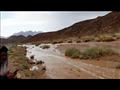 سيول بجنوب سيناء 