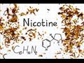 النيكوتين