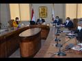 محافظ الوادي الجديد يترأس المجلس التنفيذي