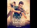 Tiger Zinda Hai
