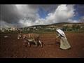  أحد المزارعين الفلسطينيين في الضفة الغربية