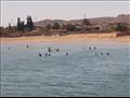 نشاط ضعيف على شواطئ السخنة بسبب اشعة الشمس  