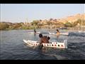 سباق الجريدى بنيل أسوان