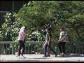تنزه المواطنين بالحدائق حول جامعة القاهرة في العيد 