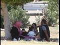 تنزه المواطنين بالحدائق حول جامعة القاهرة في العيد 