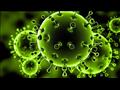فيروس كورونا