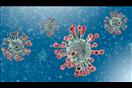 فيروس كورونا