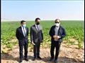 السيسي يتفقد مشروع مستقبل مصر للإنتاج الزراعي