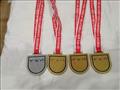 الميداليات التي حصلت عليها في البطولة