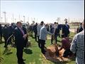 زراعة النخيل في حديقة 30 يونيو احتفالا بالعيد القومي للوادي الجديد