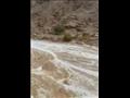 سيل بوادي وتير 