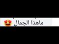 بسنت شوقي