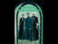 فيلم ماتريكس