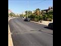 أعمال تطوير ورصف الشوارع الرئيسية