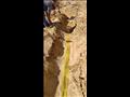 وزير الري يبحث مع رئيس هيئة الصرف موقف مشروع المياه الجوفية بمنطقة أبومينا الأثرية