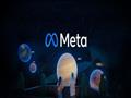 شركة ميتا