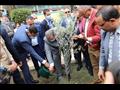 وزير القوى العاملة وومحافظ الدقهلية يزرعان أشجار الزيتون