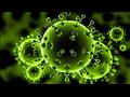 فيروس كورونا