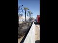حريق في أشجار طريق الإسكندرية الصحراوي