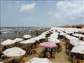 شواطئ بورسعيد كاملة العدد (12)