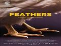 فيلم ريش Feathers