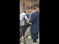 قافلة بيطرية لعلاج مواشي صغار المربين