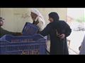 سيدات الواحة تفرز التمور بالحقول (2)