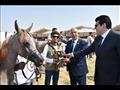 إعلان أسماء الفائزين في مهرجان الخيول العربية بالشرقية
