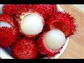 rambutan-1_431271_large
