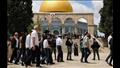 اقتحام المُستوطنين للأقصى ارشيفية