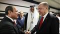  السيسي وأردوغان