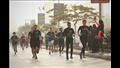 جوائز للفائزين من كبار السن وتكريم ذوي الهمم في ماراثون City Run بنها