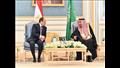 الرئيس عبدالفتاح السيسي والملك سلمان بن عبد العزيز 