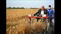 حصاد القمح بتوشكى