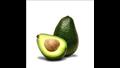 الأفوكادو 