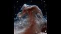 The Horsehead Nebula