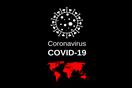 فيروس كورونا                                      