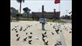 أسراب الحمام في ميدان الشهداء 