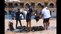مبادرة تنظيف قاع الشواطئ من النفايات