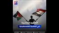 جهود مصر لدعم القضية الفلسطينية 