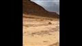 أمطار وسيول بمدينة نويبع