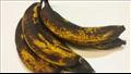 ماذا يفعل "الموز الأسود" بجسمك أثناء تناوله؟