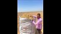 مشروع مكافحة وحصر العفن البني في البطاطس (4)