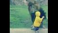 اسد يهجم على طفل