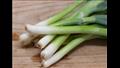 البصل الأخضر