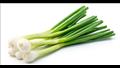 البصل الأخضر