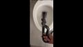 أثناء استخدامها المرحاض".. امرأة تعثر على شيء غير متوقع بداخله