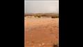 سيول وادي الزيتونة (4)